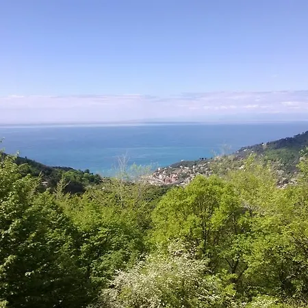 Paradiso 旅馆