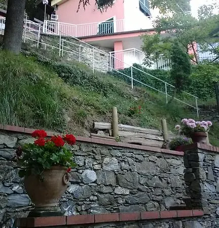Paradiso