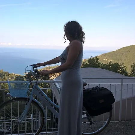 Paradiso *