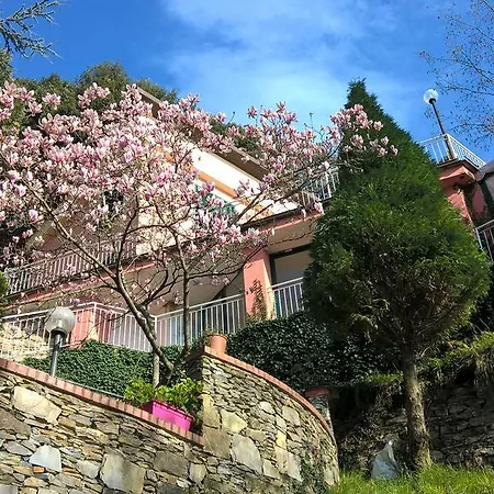 Hostel Paradiso *